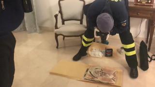 DIICOT investighează cum a fost găsit tabloul de Picasso în Tulcea, de scriitoarea Mira Feticu