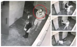 Detalii din jaful năucitor de la Alba, filmat în scara blocului. Tânăra nu a depus plângere (Video)