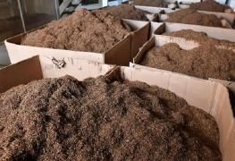 Kilograme de tutun, găsite în bagajele unui sirian pe Aeroportul Otopeni