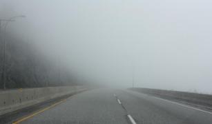 Cod galben cu efect imediat