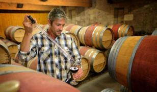 Ce trebuie să faci pentru a obţine un vin de cea mai bună calitate