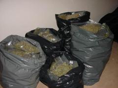 Şofer român prins cu 100 de kilograme de droguri în camion, la un control de rutină, în Franţa