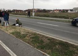 Fetița de 8 ani din Oradea, în comă profundă după ce a fost spulberată de o mașină. Copila se întorcea din parc cu sora mai mare