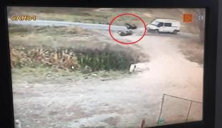 Alexandru George Chirilã din satul Blesca, comuna Ivãnesti, abia obţinuse permisul de conducere