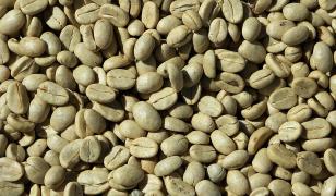 Cum se poate consuma cafeaua verde si ce beneficii are