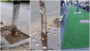 După copaci ciopliți la Slatina ca să intre într-o tablă, gazon artificial la Bacău, pentru că nu trebuie tuns sau udat (Foto)