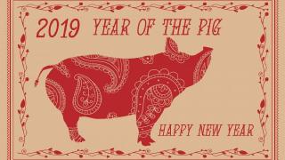 Zodiac chinezesc prezentat de Observator