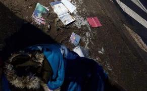 Fetiţa lovită are 12 ani