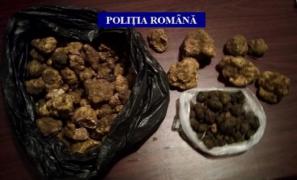 Patru kilograme de trufe, confiscate în Gorj