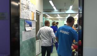 Fetiţele au fost muşcate de câine în drum spre grădiniţă