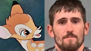 Braconier forţat să vizioneze filmul Bambi timp de un an de zile, în puşcărie, după ce a ucis sute de căprioare