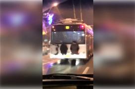 Nici macar soferul mijlocului de transport in comun nu si-a dat seama ca are calatori clandestini agatati de troleibuz