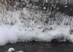 Cine este mama bebeluşului găsit mort, aruncat în apele îngheţate ale unui râu în Maramureș