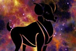 Horoscop 2019, semn zodiacal Berbec