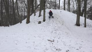 Turistă în stare gravă, după ce a scăpat sania de sub control şi a intrat cu capul într-un copac, lângă Cabana Haiducilor