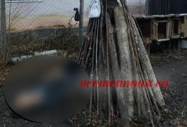 Bărbat din Vaslui, spânzurat în fundul curții