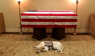 Câinele lui George Bush se odihneşte lângă sicriul fostului preşedinte