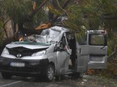 Un român a murit în Malta, strivit de un copac. Soţia lui e în stare gravă, la spital