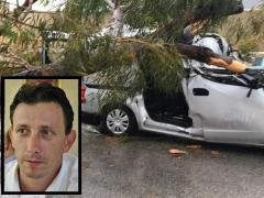 Mobilizare uriaşă pentru românul mort în Malta. Tată a doi copii, Dan Udrea a murit în maşină, strivit de un copac
