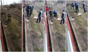 Bărbat dat jos din tren, apoi bătut crunt de controlor şi călători în gară la Milova (Video)