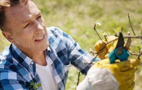 4 situații de criză cu care gospodăriile se confruntă la începutul primăverii