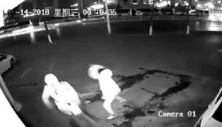 Doi tineri au încercat să jefuiască un magazin. Cărămida a fost de altă părere (Video)