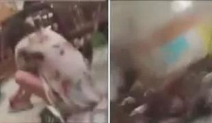 Primele imagini din timpul atacului de la liceul din Florida. Atacatorul trage foc după foc