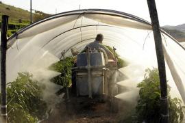 Angajări în străinătate 2018: ANOFM anunţă 100 de locuri de muncă pentru români în Danemarca