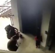 Inconştienţă crasă! O fetiţă de 2 ani a căzut peste balustradă, sub ochii mamei care butona telefonul | Video