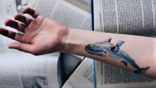 DIICOT, decizie neaşteptată în dosarul sinuciderilor provocate de "Balena Albastră", în România. Procurorii fac noi dezvăluiri despre Jocul Morţii