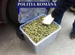 Două fete din Bucureşti, prinse în flagrant în timp ce vindeau 5 kilograme de canabis în Constanţa (Foto)