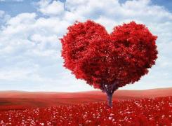 Mesaje de Dragobete 2018. SMS-uri, felicitări şi mesaje de dragoste