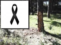 Trei zile de doliu în orașul din Spania unde trei români au murit pe loc după un teribil accident (Video)