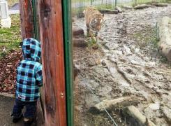 O mămică din Oradea a rămas închisă la Grădina Zoologică împreună cu cei trei copii: 'Ne gândeam lângă care animale flămânde vom dormi'