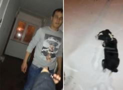 Cruzime fără margini. Un tânăr din Constanța a bătut un cățel și l-a aruncat afară în zăpadă (Video)