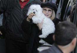 Dezvăluiri şocante făcute de Barbra Streisand. Celebra actriţă şi-a clonat câinele preferat de două ori