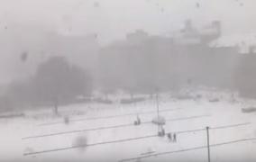 Valul de frig siberian face ravagii în Europa. Bilanțul a ajuns la 46 de morți (Video)