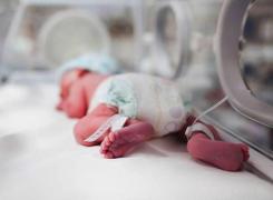 Un bebeluş de numai 650 de grame, născut prematur la Maternitatea din Baia Mare, se luptă să trăiască: 'Este o luptătoare!'