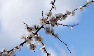 Prognoza meteo ANM pe 11 martie în București. Vremea în Capitală duminică, luni și marți