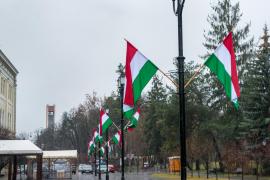 Primarul care a împânzit oraşul cu steagurile Ungariei a fost amendat după ce a refuzat să le dea jos (Foto)