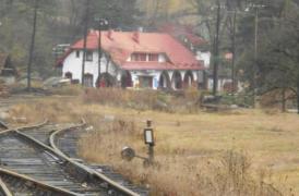 Tren deraiat în Bistrița-Năsăud! Mai multe vagoane încărcate cu lemne au sărit de pe șine