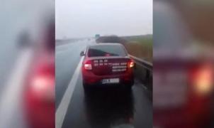 Metodă de fentat radarul şi plata rovinietei! Un şofer vigilent l-a surprins pe argeşeanul inventiv şi a postat imaginile pe internet (Video)