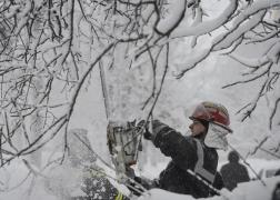 Trafic blocat în Maramureş, pe DN 18, din cauza unor copaci căzuţi pe şosea