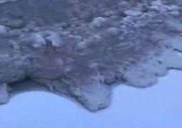 Imagini virale. Valurile mării îngheaţă instant când se apropie de ţărm (Video)