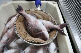 ANPC, avertisment înaintea sărbătorilor de Buna Vestire şi Florii. Director general: 'Riscaţi să achiziţionaţi un produs nesigur'