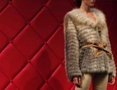 San Francisco a interzis comercializarea de blană naturală