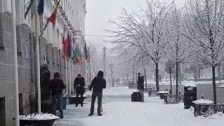 Un preot alunecă pe gheaţă şi îşi rupe glezna fix în faţa Primăriei Timişoara. Cum au încercat să salveze situaţia angajaţii instituţiei (Video)