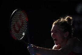 Simona Halep, amendată la turneul de la Miami. Românca şi-a făcut praf racheta în meciul cu Dodin: 'A fost bine, m-am relaxat'