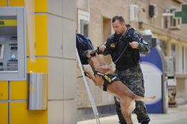 Câinii şi caii din Poliţie, Jandarmerie și Armată ar putea primi pensie