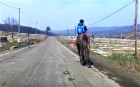 Călare pe cal şi cu ghiozdanul în spate, un copil de-o şchioapă e salutat de toţi şoferii: "Nu ţi-e frică? - Nu!" (Video)